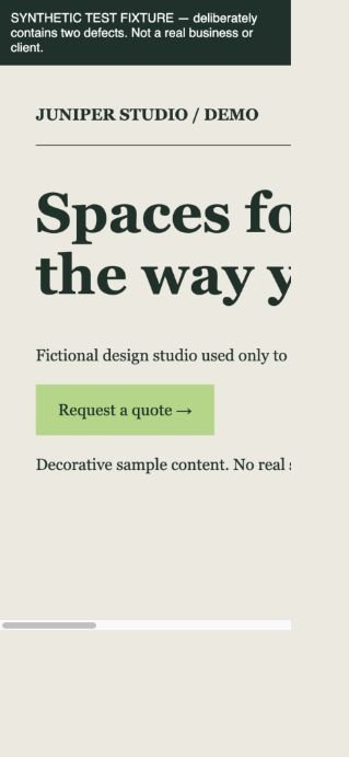 Browser screenshot of the synthetic fixture: text and content are clipped on the narrow viewport.